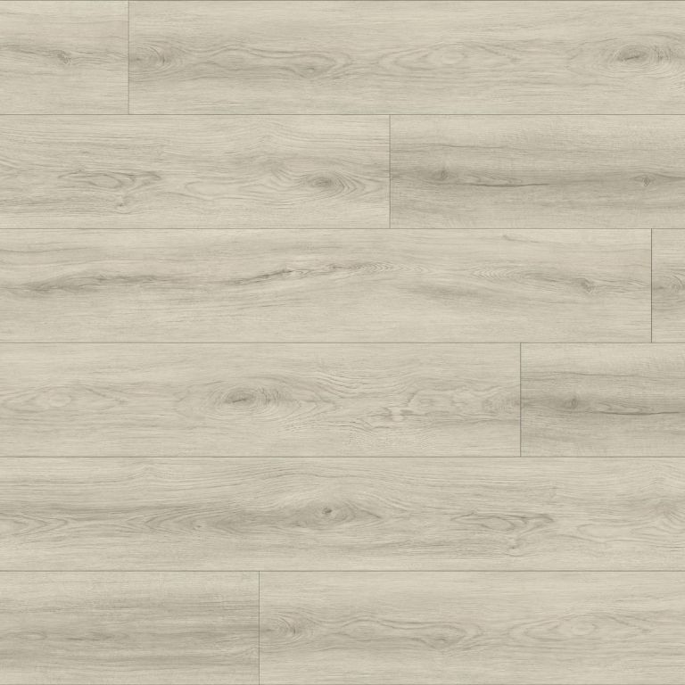 Barbera_Thumbnail