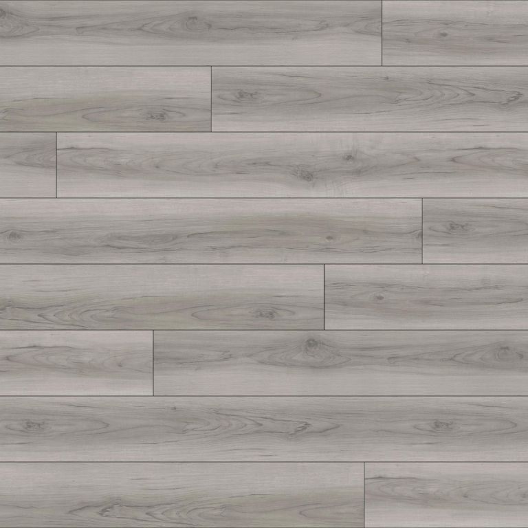 Barbera_Thumbnail