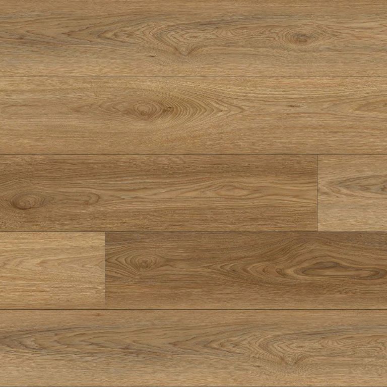 Barbera_Thumbnail