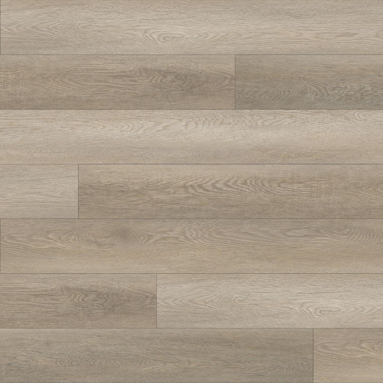 Barbera_Thumbnail