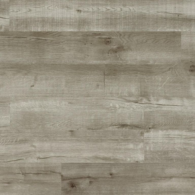 Barbera_Thumbnail