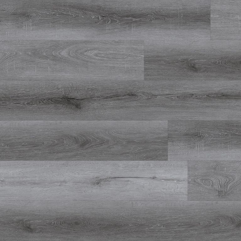 Barbera_Thumbnail