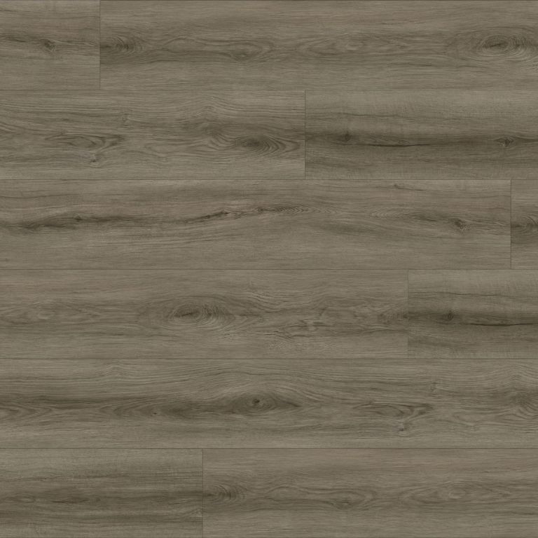 Barbera_Thumbnail